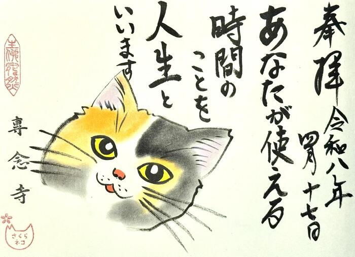 一向山　専念寺　融通念仏宗　大阪府　大阪市　平野区　喜連　人形供養　悪縁切り　サクラネコ　日本一美しい迦陵頻伽　ネコ坊主　御朱印