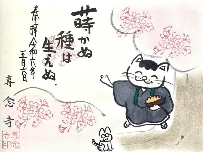 一向山　専念寺　融通念仏宗　大阪府　大阪市　平野区　喜連　人形供養　悪縁切り　サクラネコ　日本一美しい迦陵頻伽　ネコ坊主　御朱印