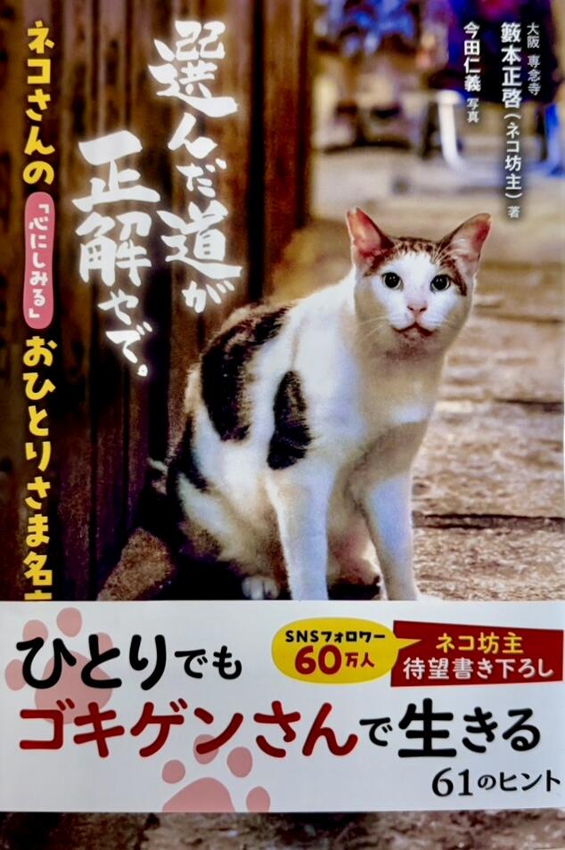 一向山　専念寺　融通念仏宗　大阪府　大阪市　平野区　喜連　人形供養　悪縁切り　サクラネコ　日本一美しい迦陵頻伽　ネコ坊主　御朱印