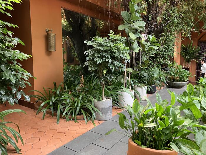 ベトナムのホーチミンの観葉植物で美しいサロン店頭前