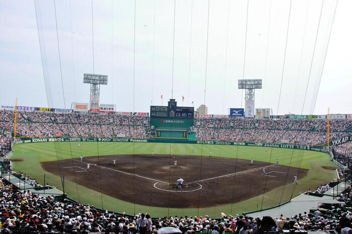 スポーツ観戦