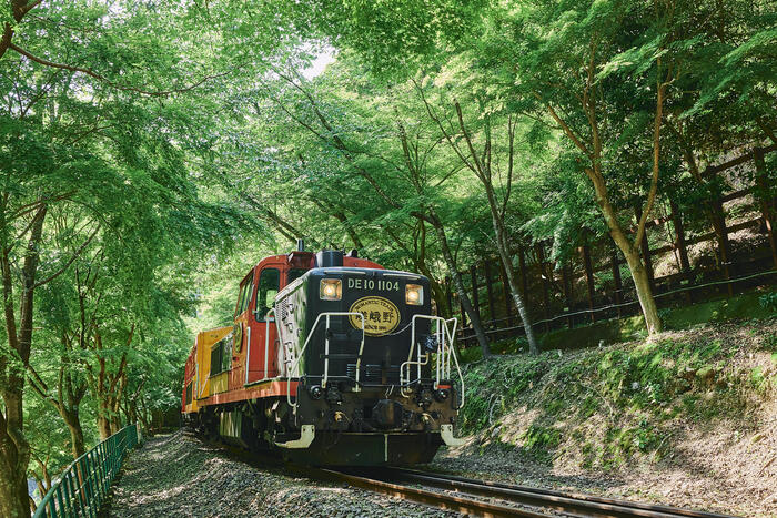 嵯峨野観光鉄道　嵯峨野トロッコ列車　京都　嵯峨野観光鉄道株式会社