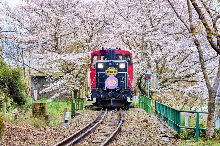 嵯峨野観光鉄道　嵯峨野トロッコ列車　京都　嵯峨野観光鉄道株式会社
