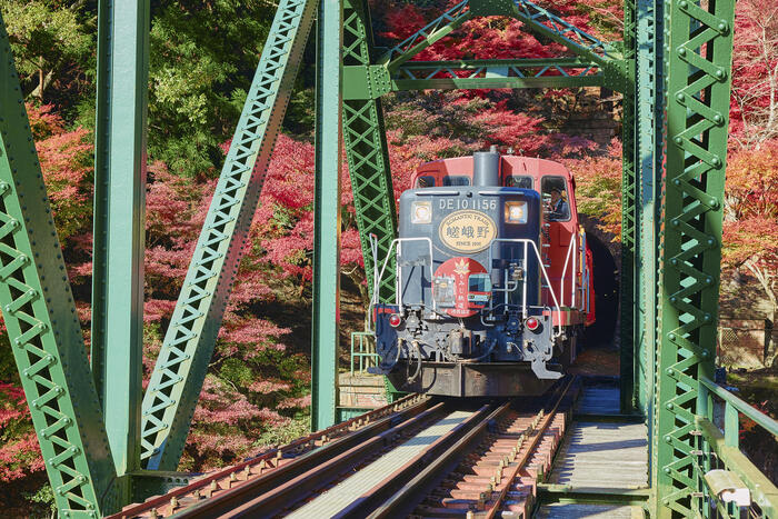 嵯峨野観光鉄道　嵯峨野トロッコ列車　京都　嵯峨野観光鉄道株式会社