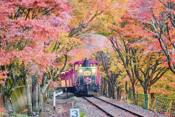 嵯峨野観光鉄道　嵯峨野トロッコ列車　京都　嵯峨野観光鉄道株式会社