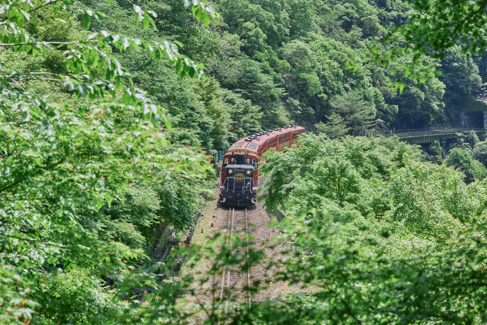 嵯峨野観光鉄道　嵯峨野トロッコ列車　京都　嵯峨野観光鉄道株式会社