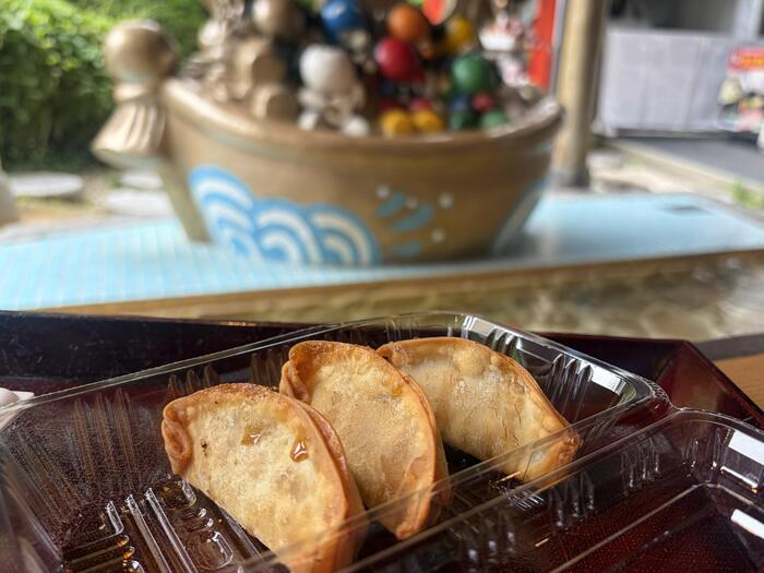 飛騨牛 揚げ餃子