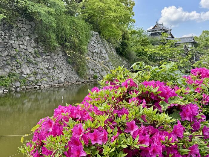 奈良県　大和郡山市　豊臣秀長　大和郡山城　大河ドラマ　豊臣兄弟