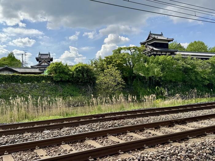 奈良県　大和郡山市　豊臣秀長　大和郡山城　大河ドラマ　豊臣兄弟