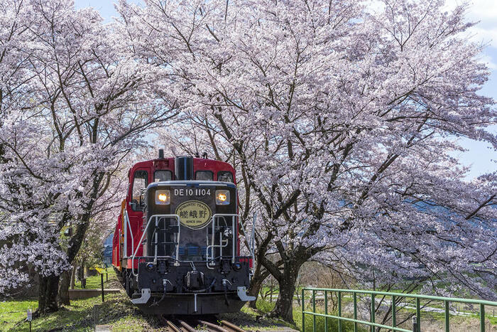 嵯峨野観光鉄道　嵯峨野トロッコ列車　京都　嵯峨野観光鉄道株式会社