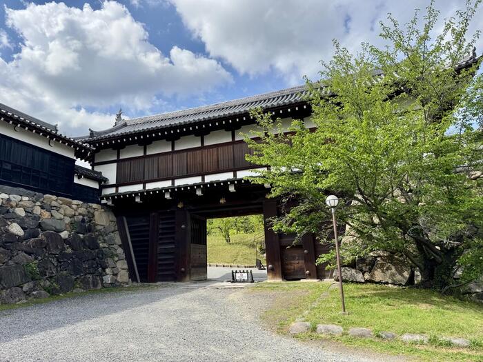 奈良県　大和郡山市　豊臣秀長　大和郡山城　大河ドラマ　豊臣兄弟