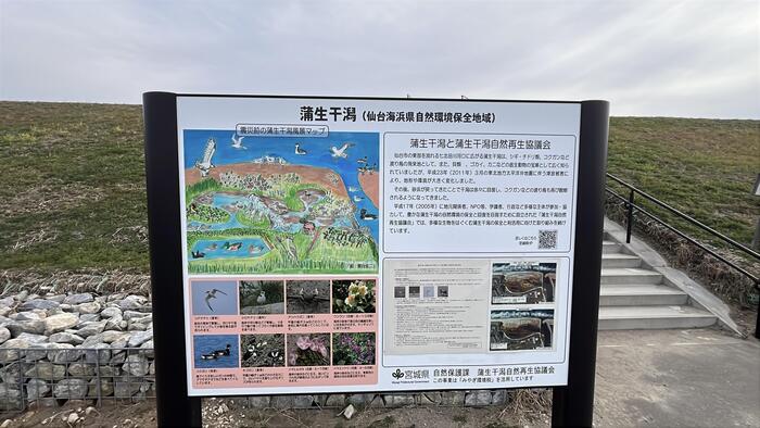 仙台の蒲生の干潟の看板