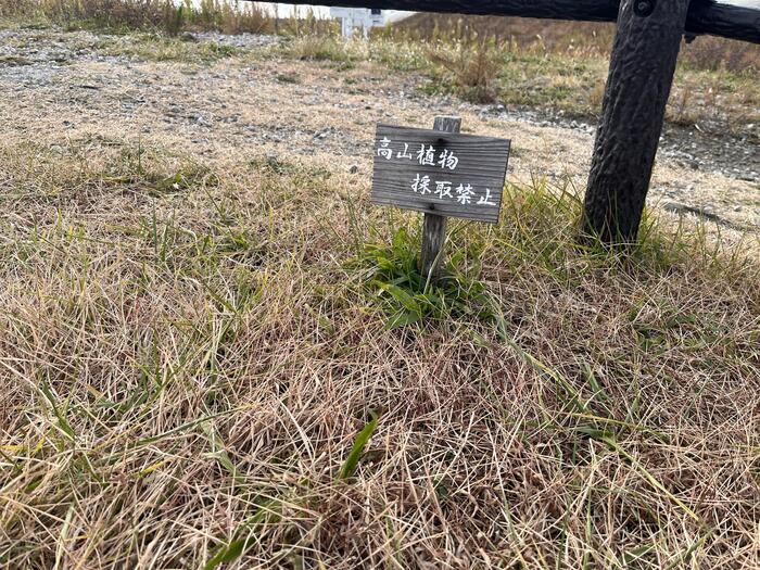 低山に「高山植物採取禁止」の注意書き