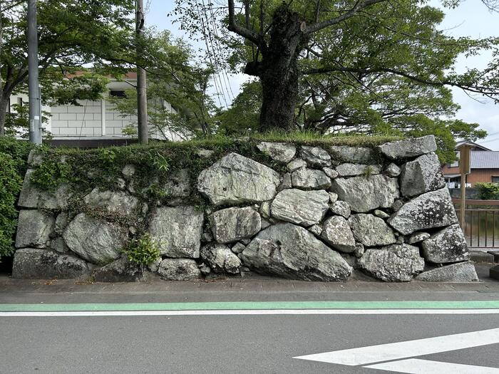 田丸城跡の石垣の大手門跡