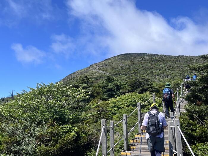 標高1,700ｍ超から山頂を望む