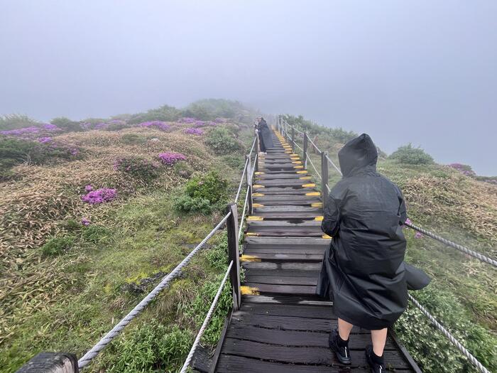 本来は漢拏山が見えるはずですが...（悪天候時）