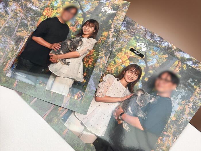 コアラとの写真