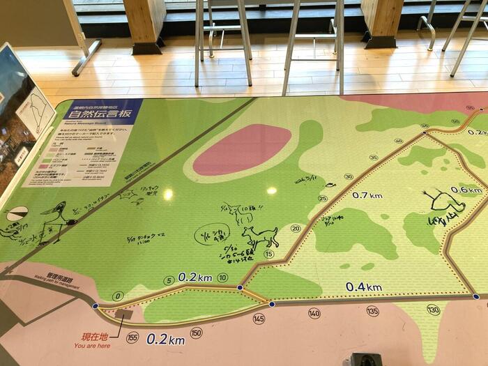 観察ポイント、大きな地図に自然伝言板の書き込み