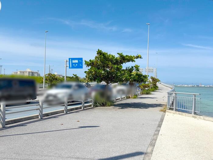 遊歩道はしっかり整備されており、徒歩のみならず車椅子の利用も可能です