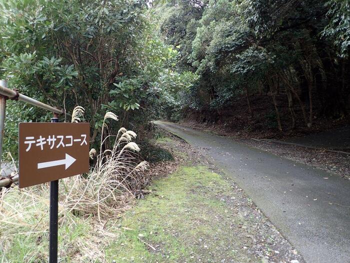 三原山テキサスコースの案内板とハイキングルートの説明