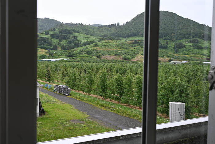 調理室の窓から見える緑広がるりんご園