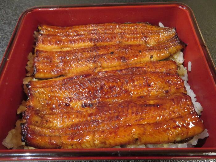 「満寿家」の「うな重上」