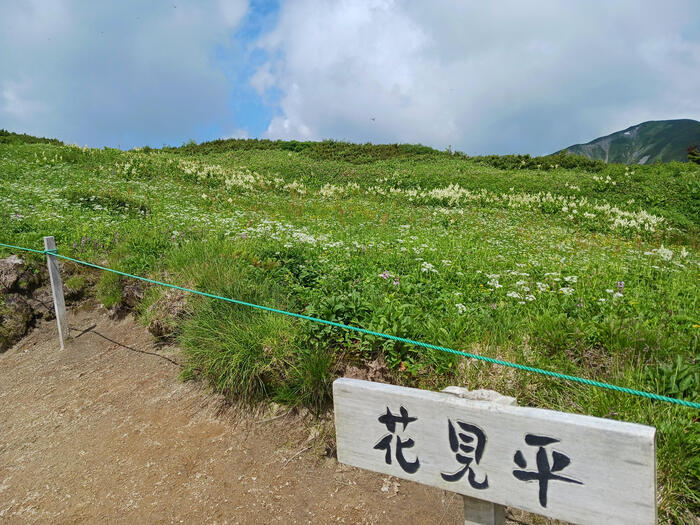 雪田花見平