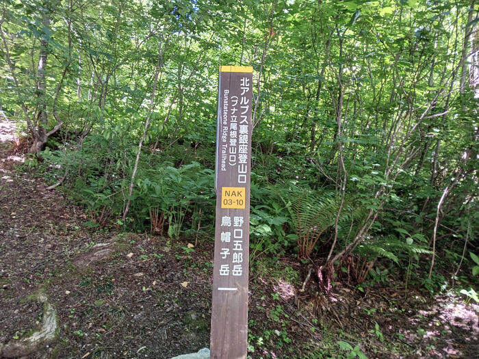 下山