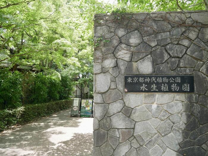 水生植物園の入口