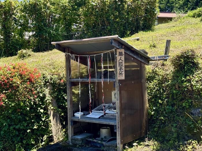 道普請　世界遺産　熊野古道　中辺路　大日越え　熊野本宮大社　大斎原　湯の峰温泉　湯の峯荘