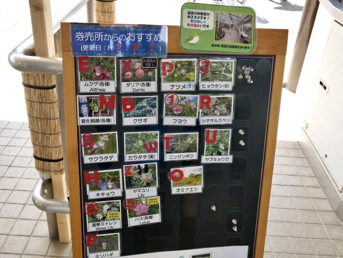券売所からのおすすめ