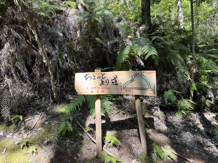 道普請　世界遺産　熊野古道　中辺路　大日越え　熊野本宮大社　大斎原　湯の峰温泉　湯の峯荘