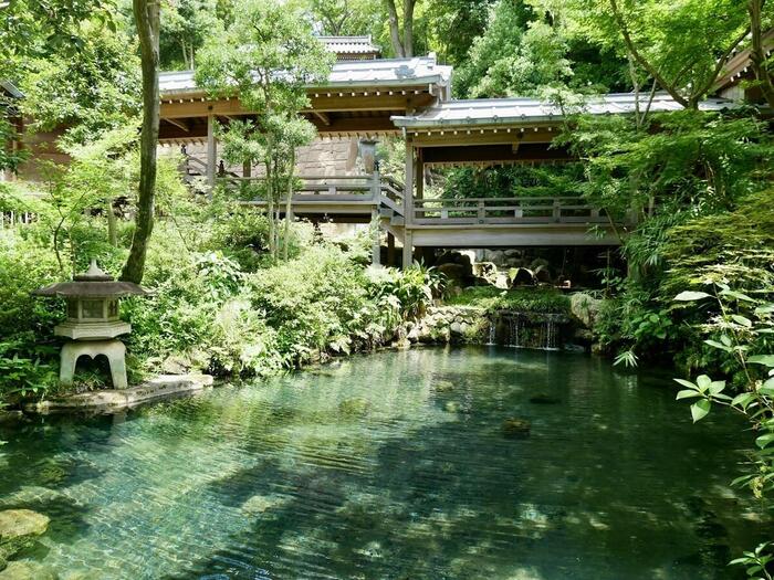 深大寺の五大尊池