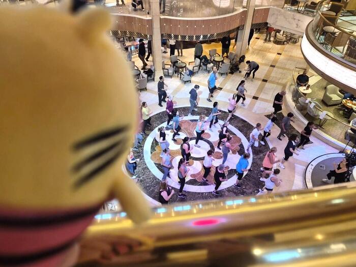 ピアッツァを上から覗くトラピッグ
