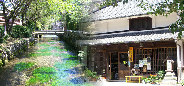 ヤマキ醤油