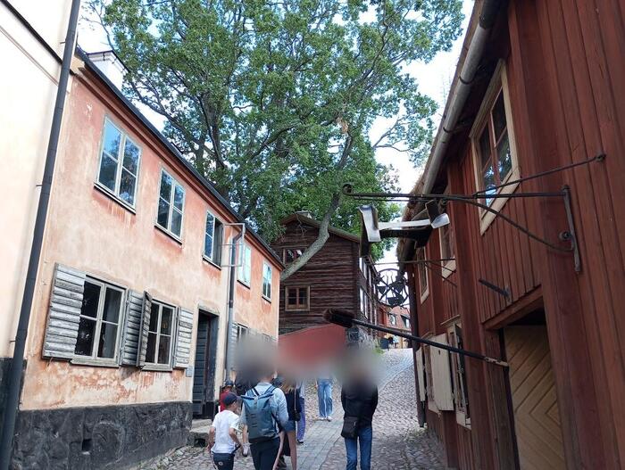 園内の石畳、歴史のある古い建物