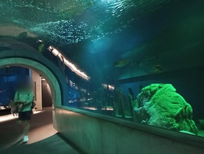 水族館エリアの大きな水槽