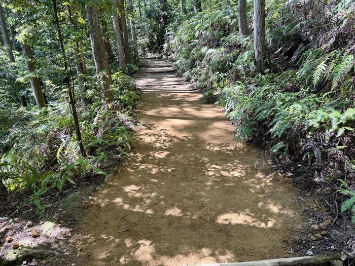 道普請　世界遺産　熊野古道　中辺路　大日越え　熊野本宮大社　大斎原　湯の峰温泉　湯の峯荘