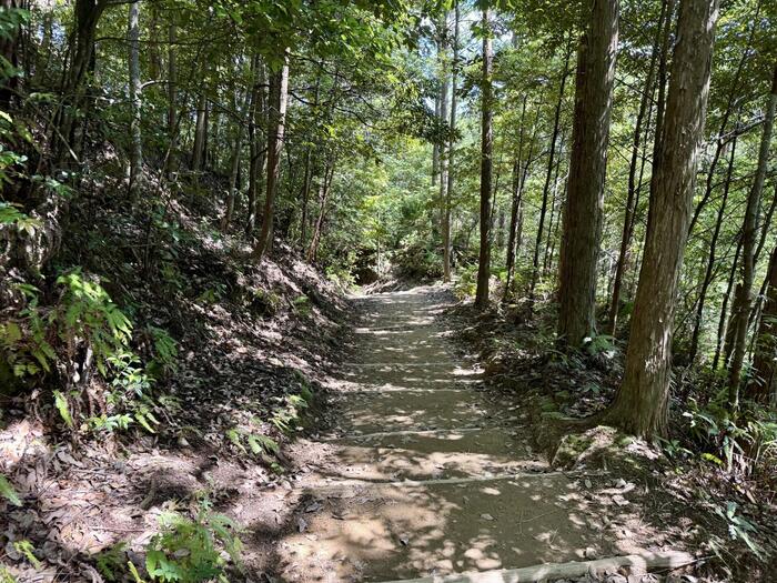 道普請　世界遺産　熊野古道　中辺路　大日越え　熊野本宮大社　大斎原　湯の峰温泉　湯の峯荘
