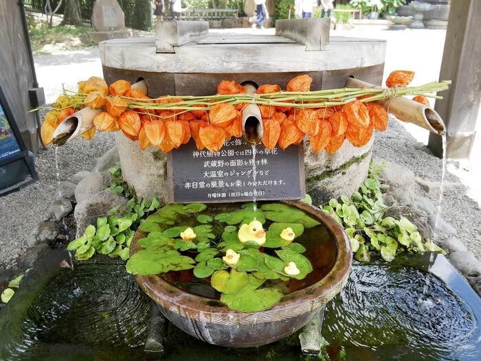 深大寺の手水舎