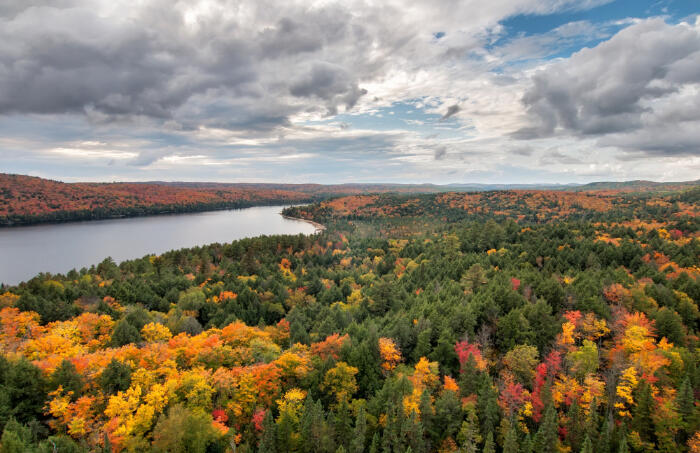 紅葉が広がるアルゴンキン州立公園（Photo by: James Wheeler via Canva）