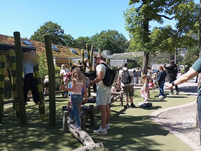 Lill-Skansen「小さなスカンセン」子ども向け遊び場、ヤギや羊と触れ合いができる場所