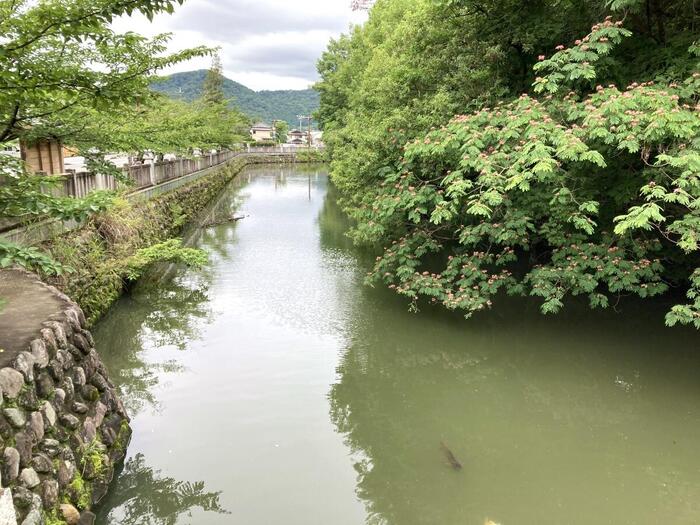武田家の館だった頃の面影を残すお堀