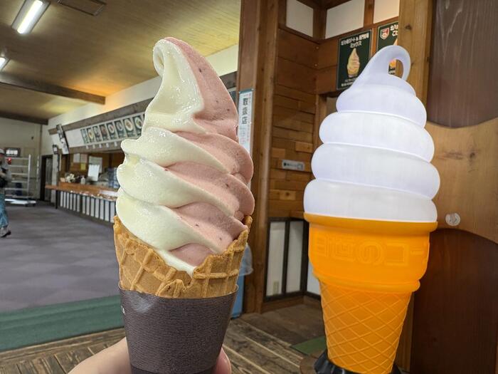 コーンの先までずっしり詰まったソフト