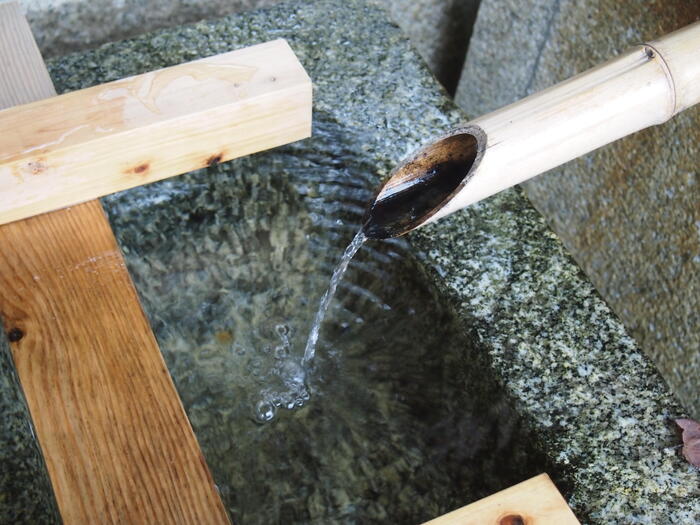 染井の水の口当たりは、まろやか。