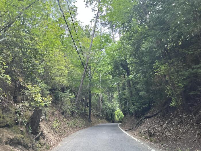 細い山道を進みます。