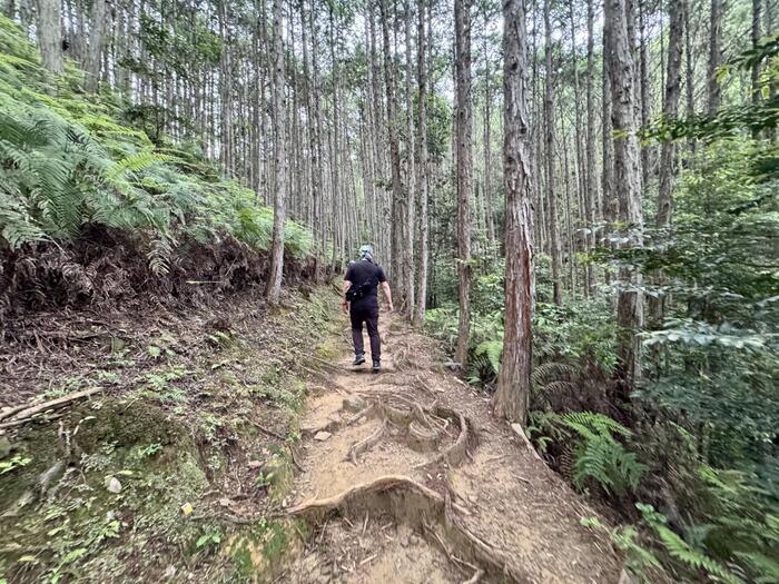道普請　世界遺産　熊野古道　中辺路　大日越え　熊野本宮大社　大斎原　湯の峰温泉　湯の峯荘