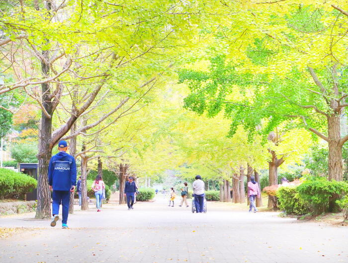 山に囲まれた緑豊かな南郷上ノ山公園