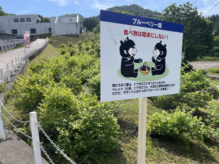 秋田の「くまくま園」