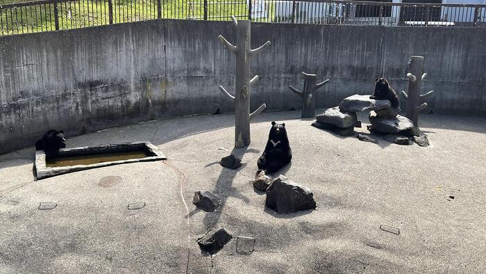 秋田の「くまくま園」